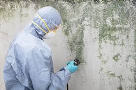 Best Mold Remediation for Healthcare Facilities  in Fort Calhoun, NE